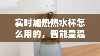 實(shí)時(shí)加熱熱水杯怎么用的，智能顯溫水杯 